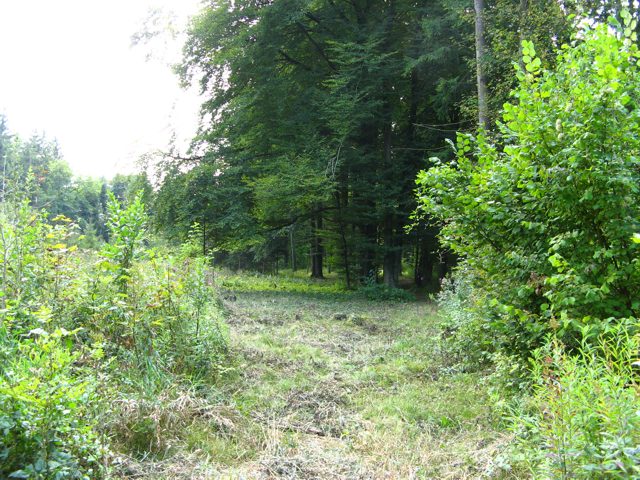 Blick vom Tee